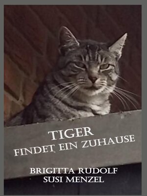 cover image of Tiger findet ein Zuhause